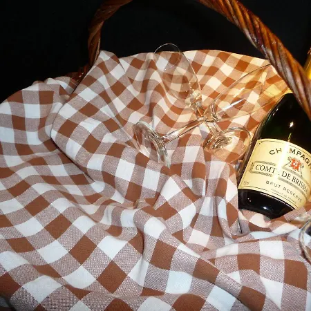 瓦斯奇比布洛克住宿加早餐旅馆 * 梅代姆里克