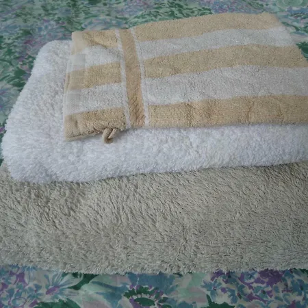 “te Warskip Bij Blokvis” Bed & Breakfast *