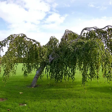 住宿加早餐酒店 瓦斯奇比布洛克住宿加早餐旅馆