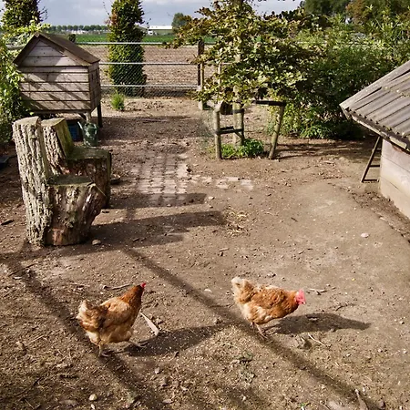 “te Warskip Bij Blokvis” *