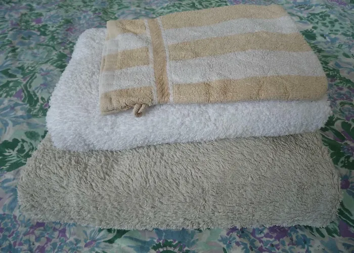 “te Warskip Bij Blokvis” Bed & Breakfast *