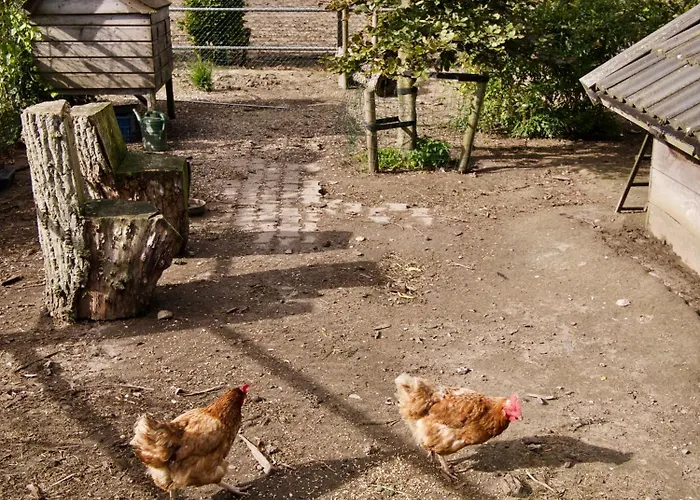 “te Warskip Bij Blokvis” *