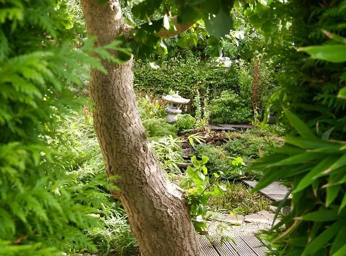 “te Warskip Bij Blokvis” Bed & Breakfast Medemblik