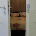 “te Warskip Bij Blokvis” *