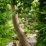 “te Warskip Bij Blokvis” B&B 메뎀브릭